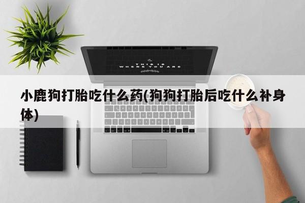 吃什么药可以流产堕胎、小鹿狗打胎吃什么药(狗狗打胎后吃什么补身体)