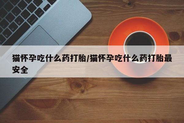 吃什么药可以流产堕胎、猫怀孕吃什么药打胎/猫怀孕吃什么药打胎最安全