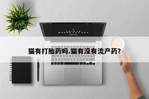 吃什么药可以流产堕胎、猫有打胎药吗.猫有没有流产药？