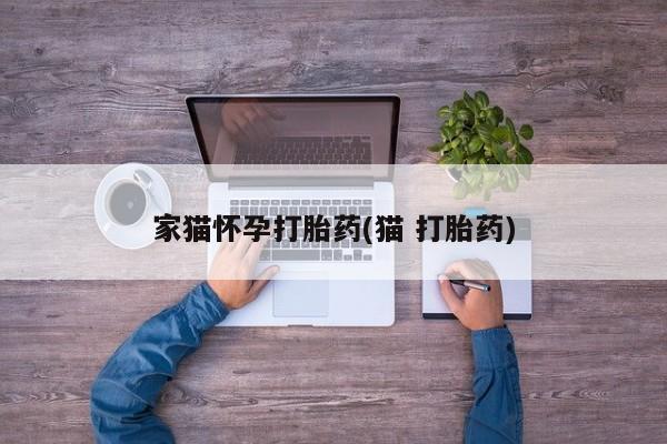 吃什么药可以流产堕胎、家猫怀孕打胎药(猫 打胎药)
